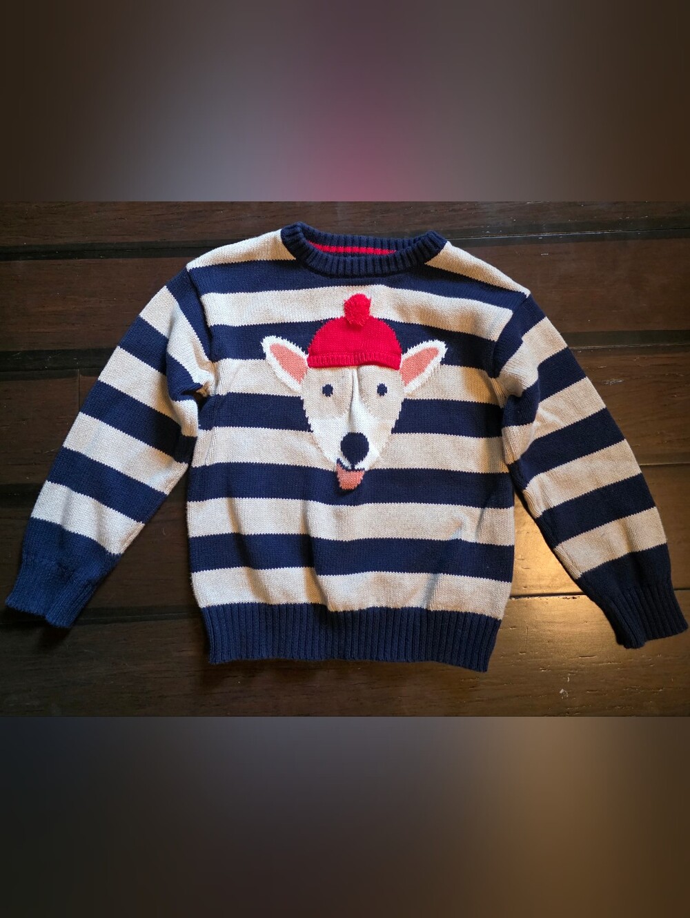 Boys Cat & Jack Sweater